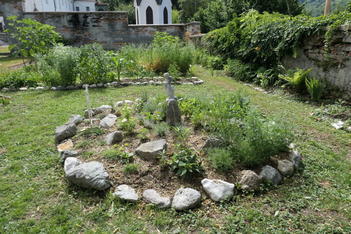 Kuhinjska zelišča in njihova uporaba, delavnica