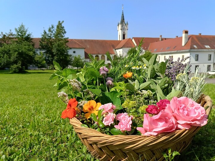 Obujanje zeliščarske dediščine, delavnica