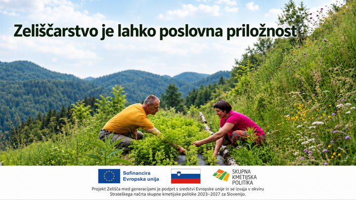 Zelišča med generacijami