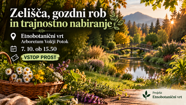 Zelišča, gozdni rob in trajnostno nabiranje v Etnobotaničnem vrtu Aroretuma Volčji potok